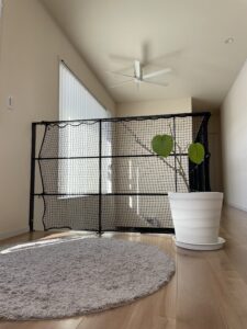 気持ちよく、「できますよ！！」って言われてすごく安心しました。